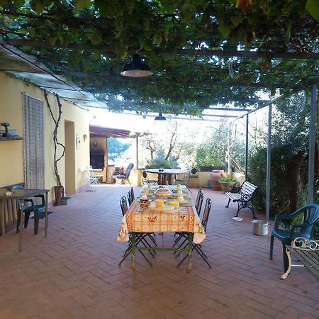 Villa Agriturismo Il Cavallone à Montelupo Fiorentino Extérieur photo